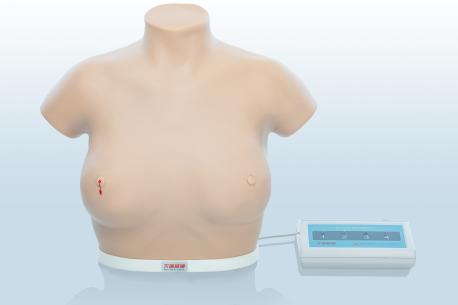電子乳腺癌觸診、視診訓(xùn)練模型